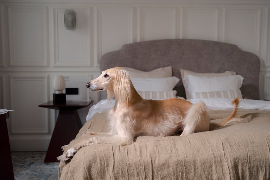 Top 9 Most Photogenic Dog Breeds: Stunning Looks for Perfect Pics