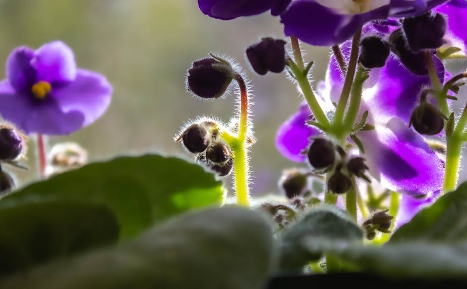 Top 10 Pet-Safe Plants That Add Cozy Greenery To Apartments