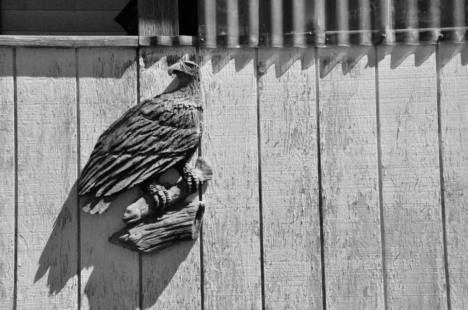 American Eagle Wall Sculpture