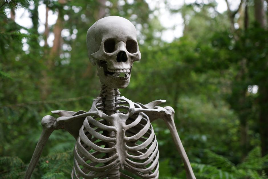 Animated Talking Skull Porch Prop