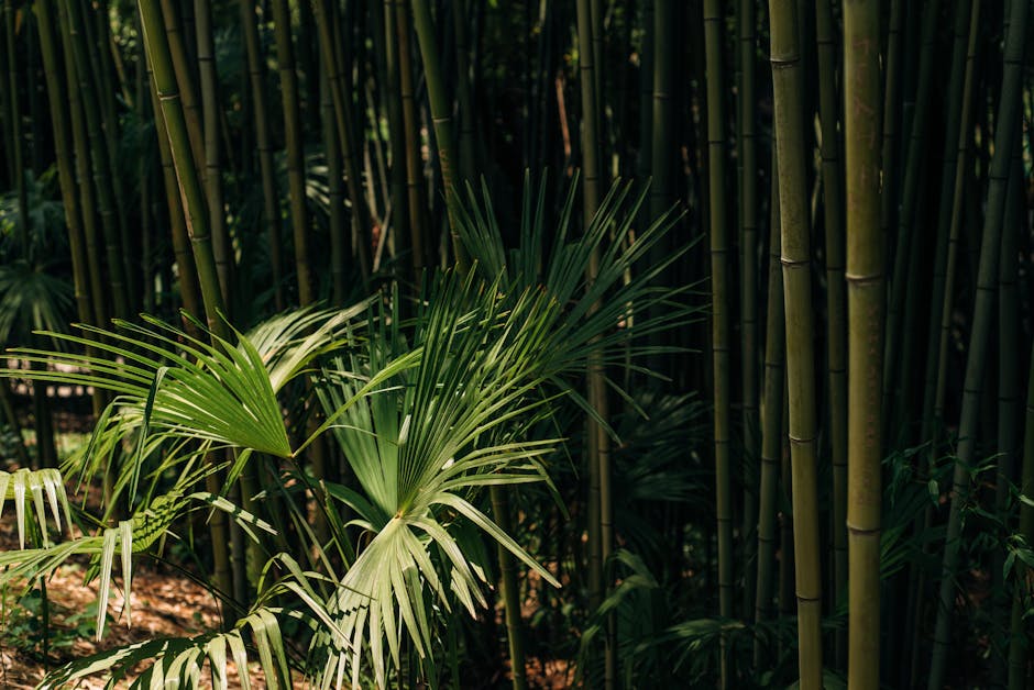 Bamboo Palm on a Low Plant Stand