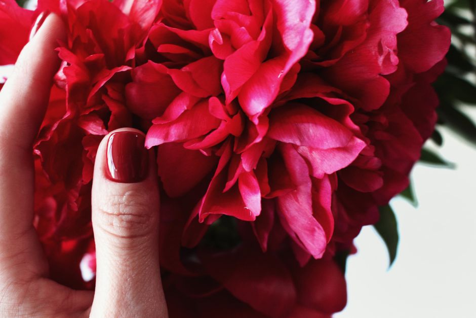 Bold Red with Subtle Floral Detail