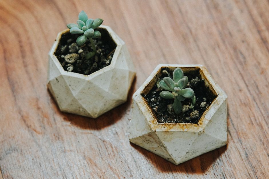Ceramic Planters with Geometric Designs