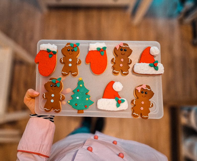 Christmas Cookie Decorating Kit