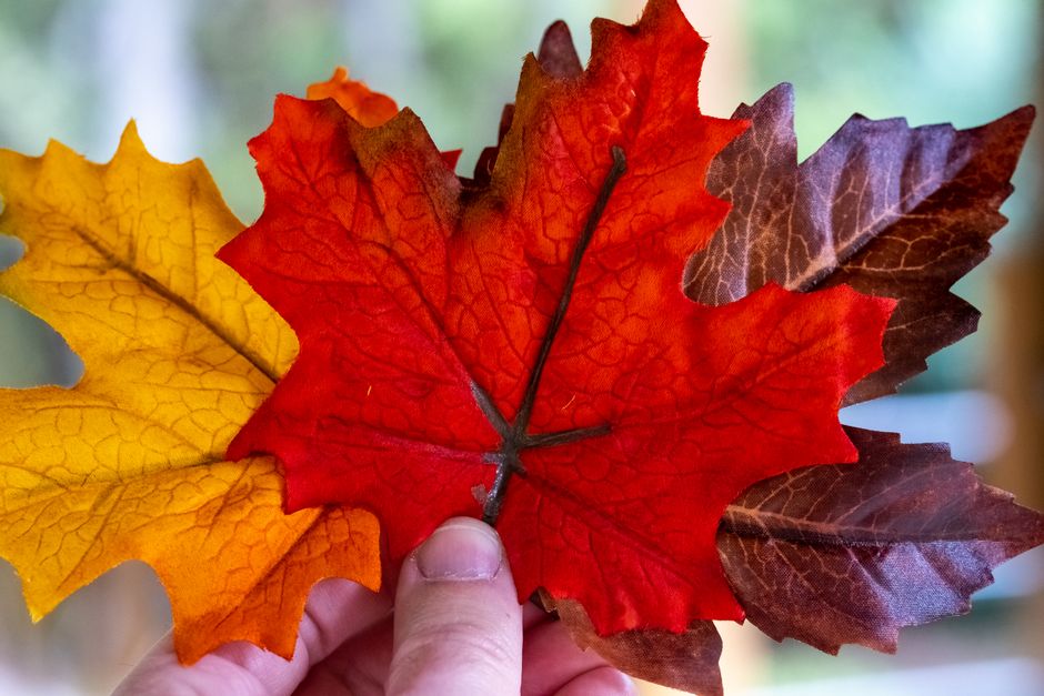 Classic Maple Leaf Burlap Wreath