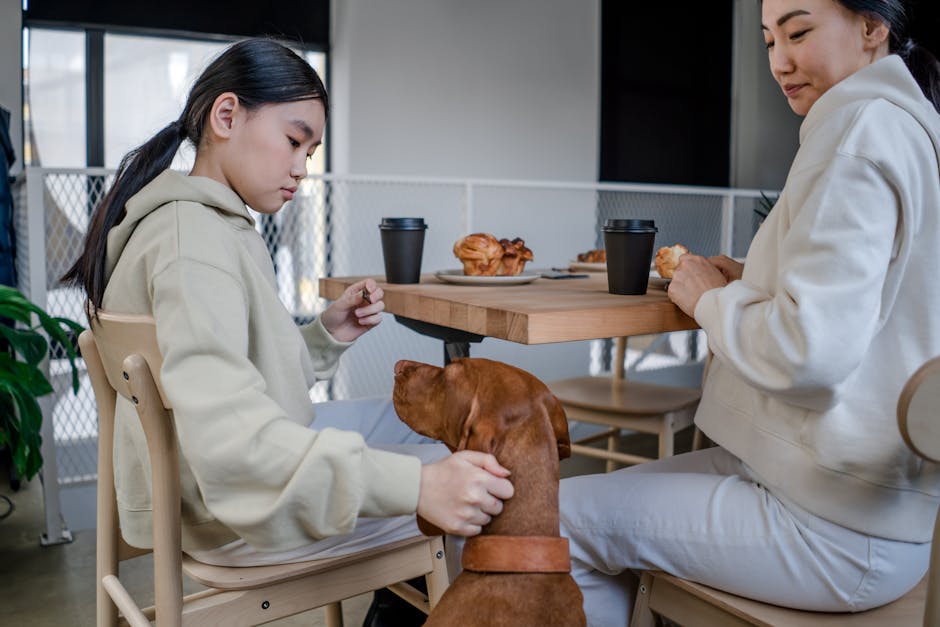 Coffee Table with Built-In Pet Toy Storage
