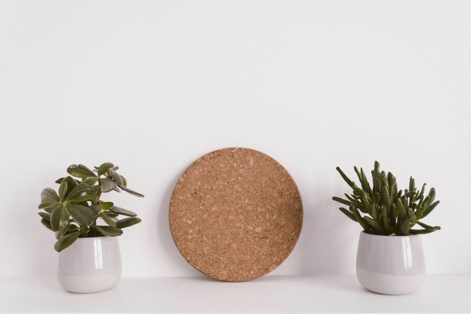 Cork Board with Integrated Shelf