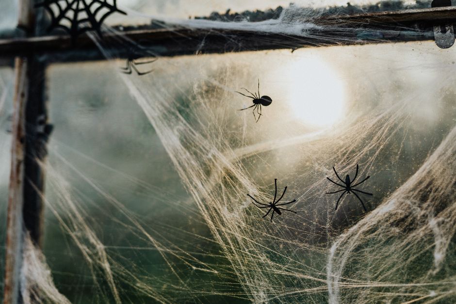 Creepy Cobweb Decorations with Plastic Spiders