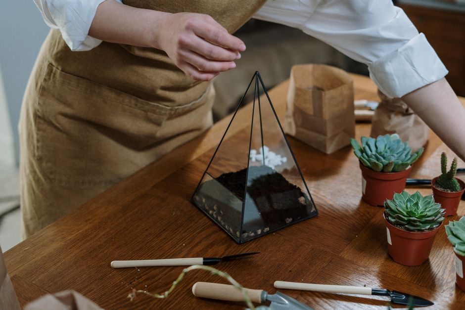 DIY Terrarium Kit with Succulents