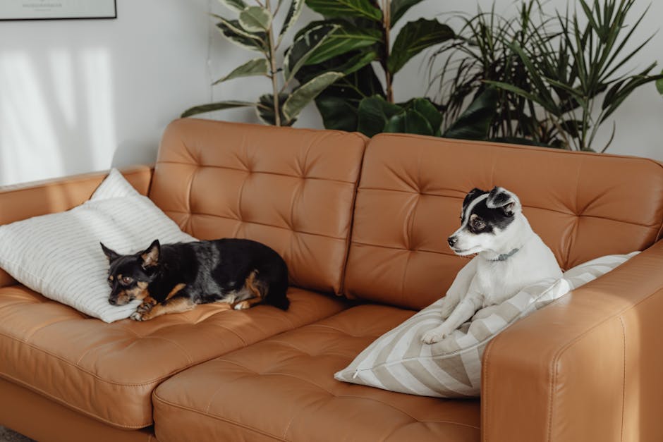 Durable Leather or Faux Leather Pet-Friendly Sofa