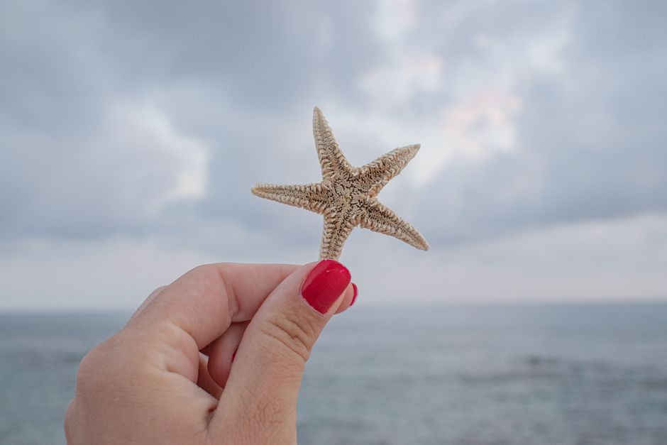 Gold Starfish Nail Studs