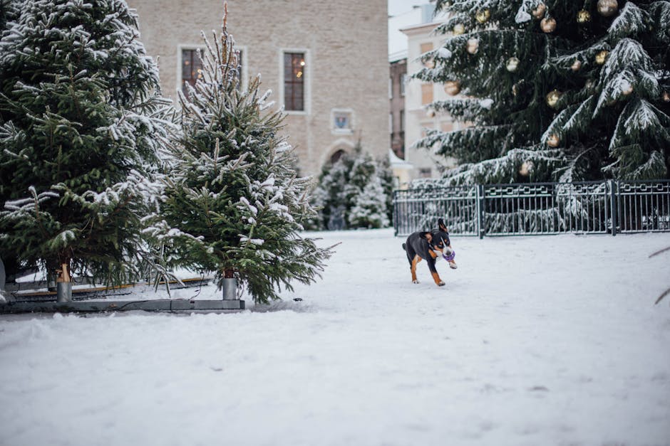Top 8 Best Large Dog Breeds for Spacious Homes