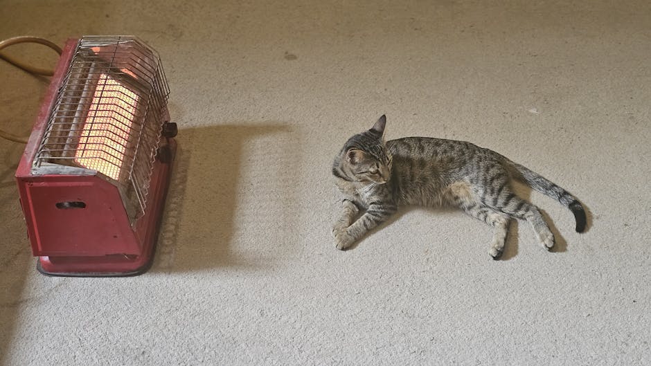 Heated Pet Mats