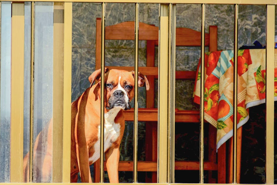 Indoor Pet Gate with Stylish Design