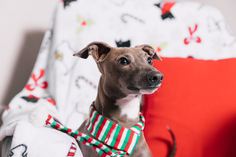 Top 5 Best Dog Breeds for Minimalist Homes and Simple Living
