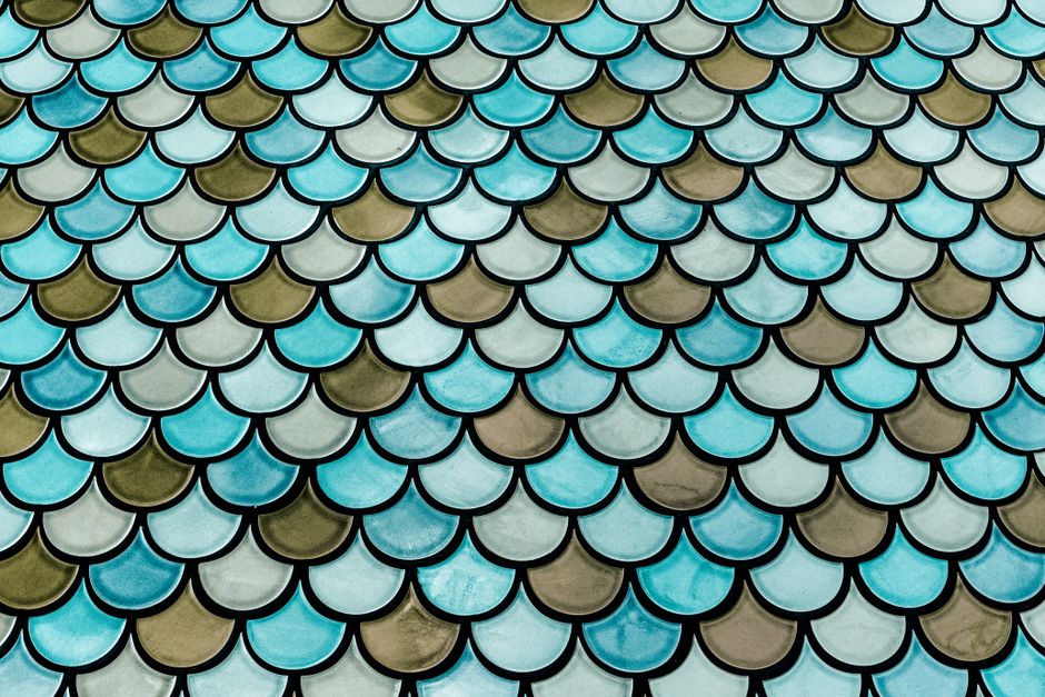 Mermaid Scale Stamping Plate