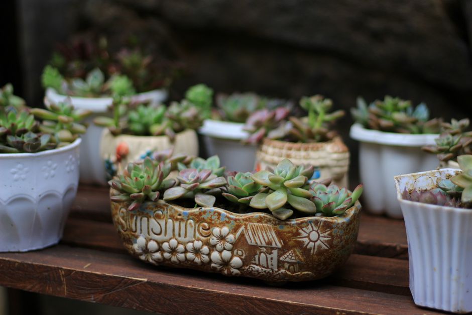 Mini Ceramic Succulent Planters
