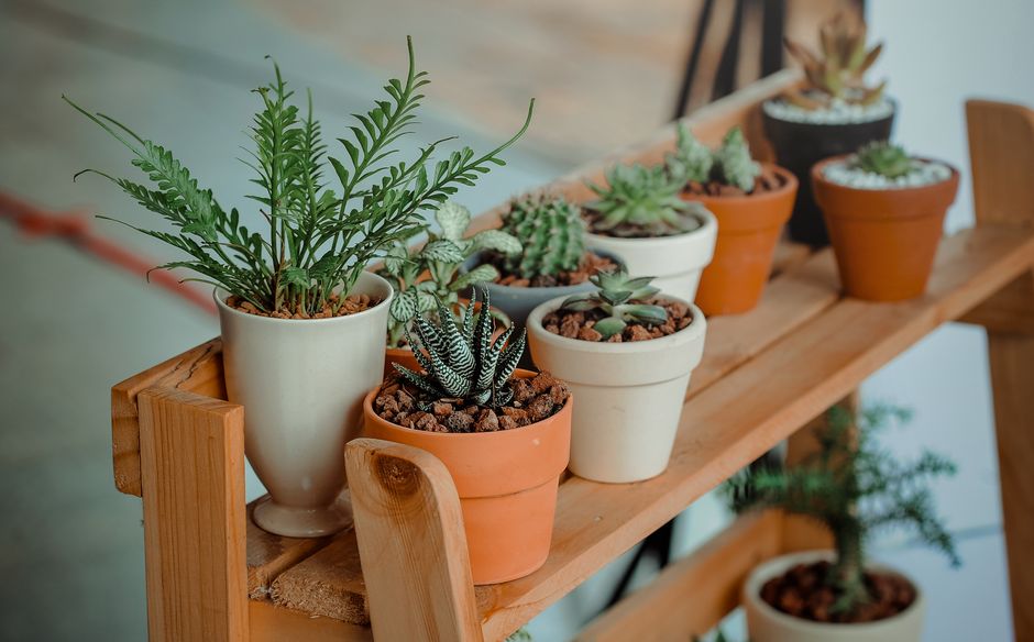 Mini Terra Cotta Pots