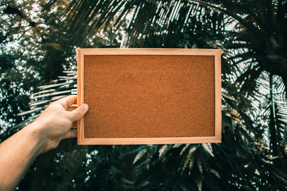 10 College Cork Board Ideas to Organize and Personalize Your Dorm in 2026