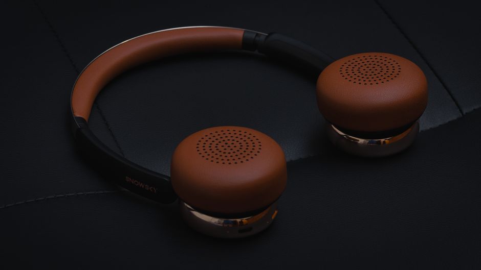 Noise-Canceling Earbuds
