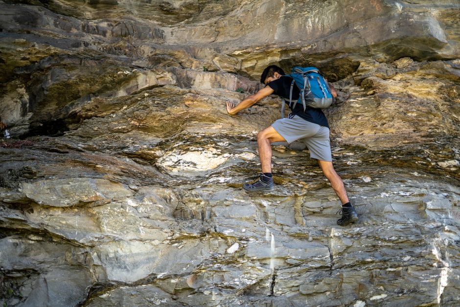 North Face Borealis Backpack