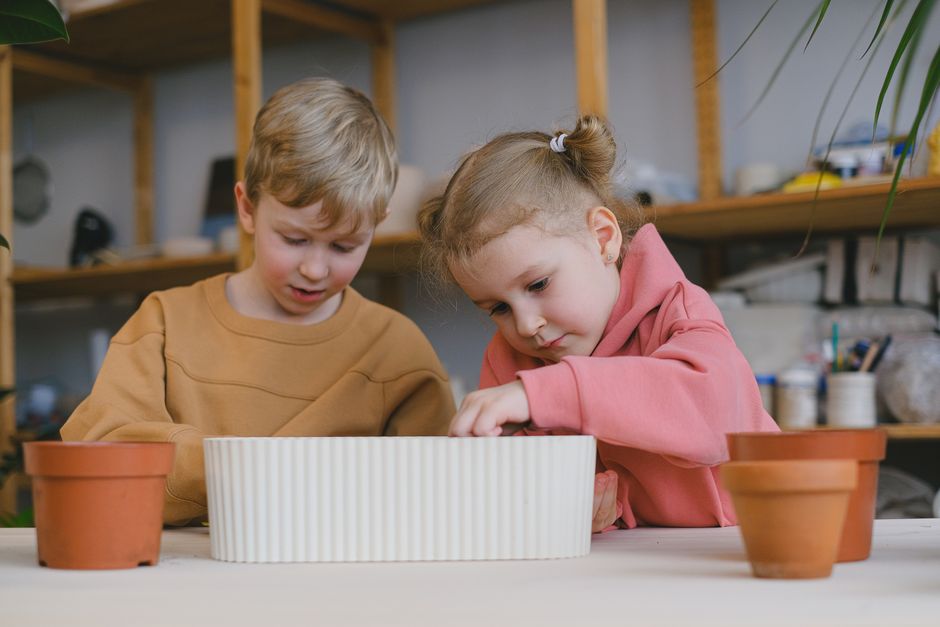 Paint-Your-Own Terracotta Plant Pots
