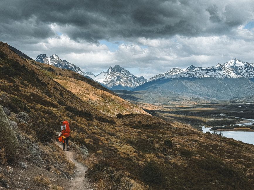 Patagonia Arbor Grande Backpack