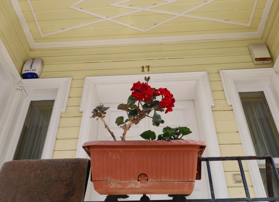7 Fourth of July Paint Ideas to Celebrate Independence Day 2026