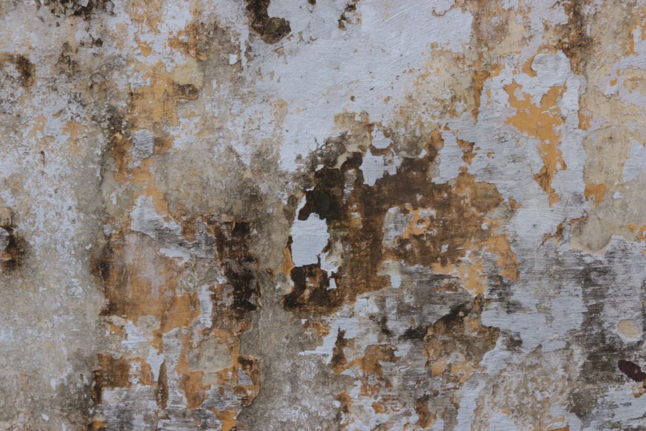 Peel-and-Stick Wallpaper Accent Wall