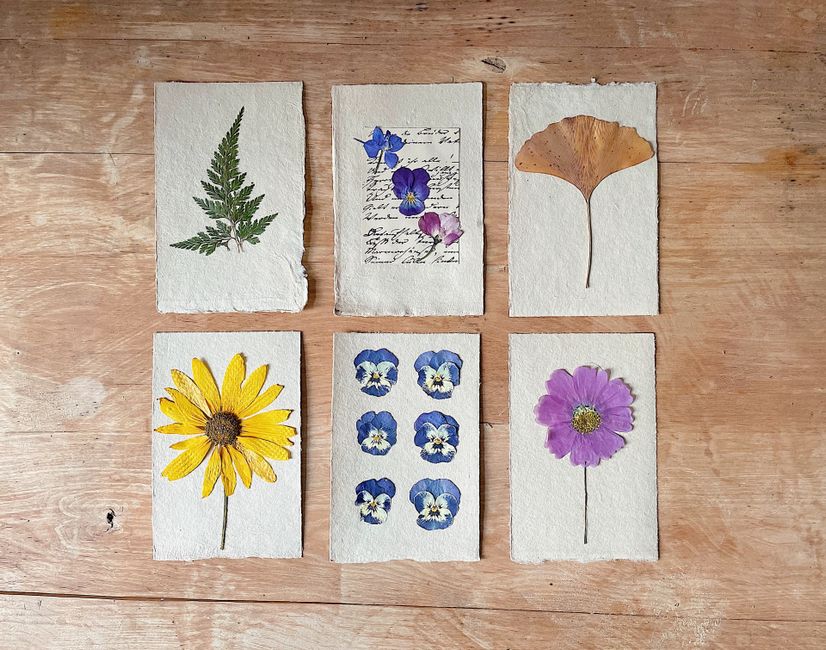 Pressed Flower Resin Coaster Kit
