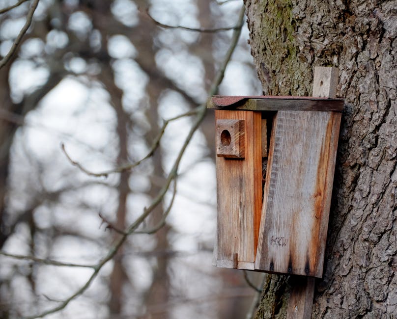 Rustic Driftwood Hanging Birdhouse