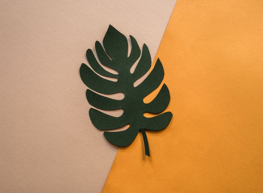 Rustic Leaf Paper Squish