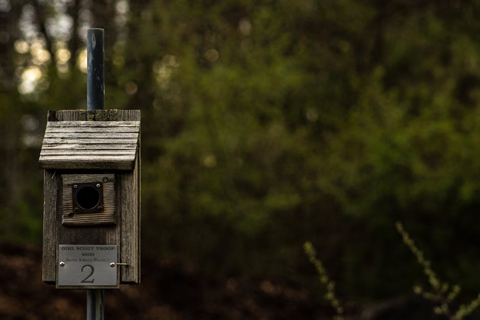 Rustic Metal and Wood Mixed Media Birdhouse