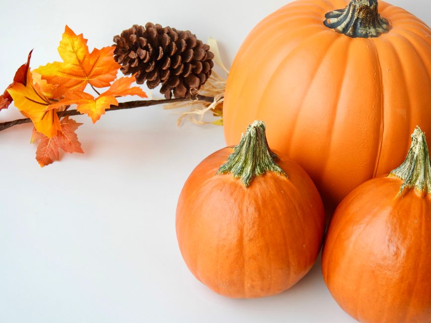 13 Fall Wreath Ideas to Warm Your Home This Season in 2026