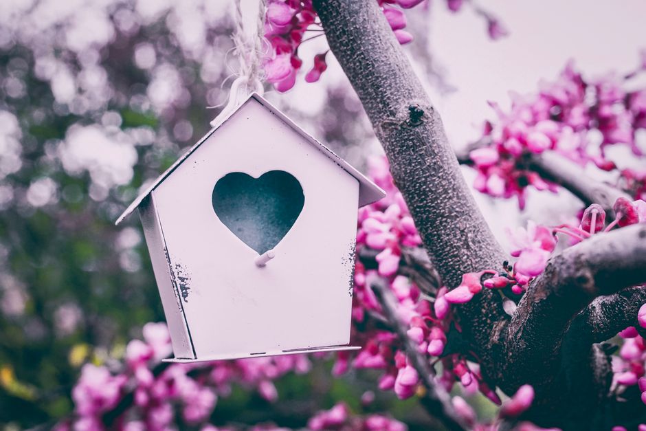 Rustic Wooden Birdhouse with Heart Cutout
