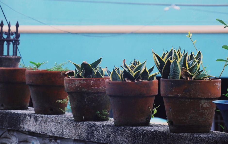 Santa Hat Planter Pots