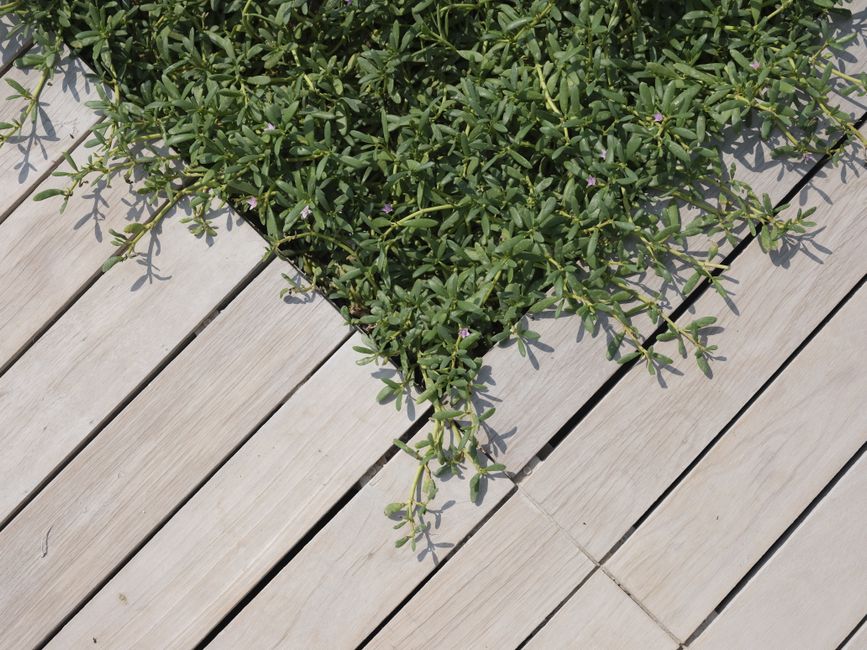 Slip-Resistant Composite Decking Boards