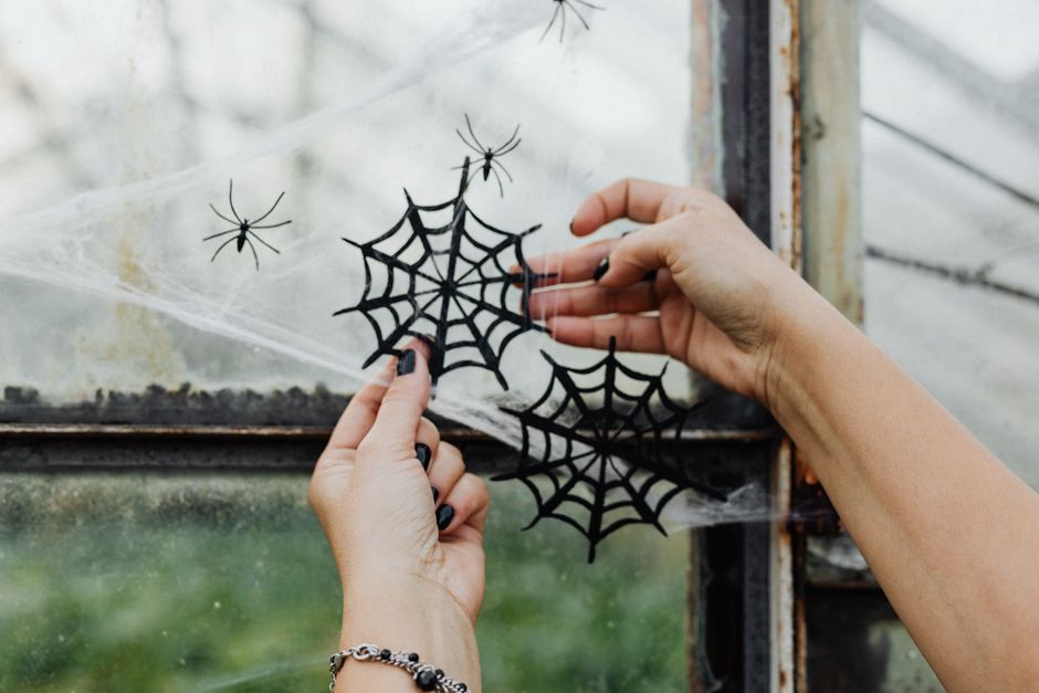 Spider Web Shower Curtain