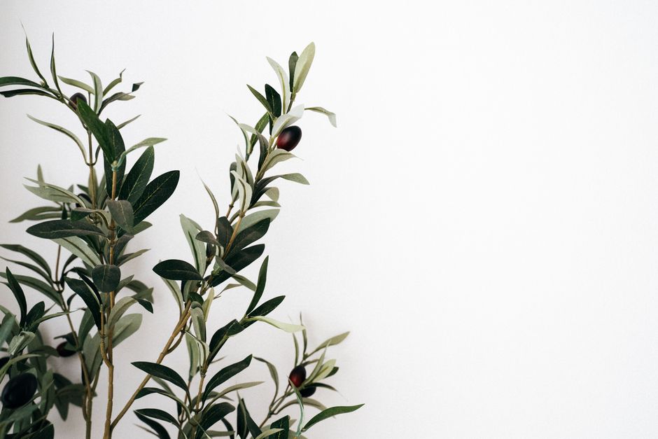 Tall Faux Olive Tree