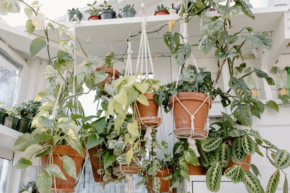 Tiered Macrame Plant Hanger