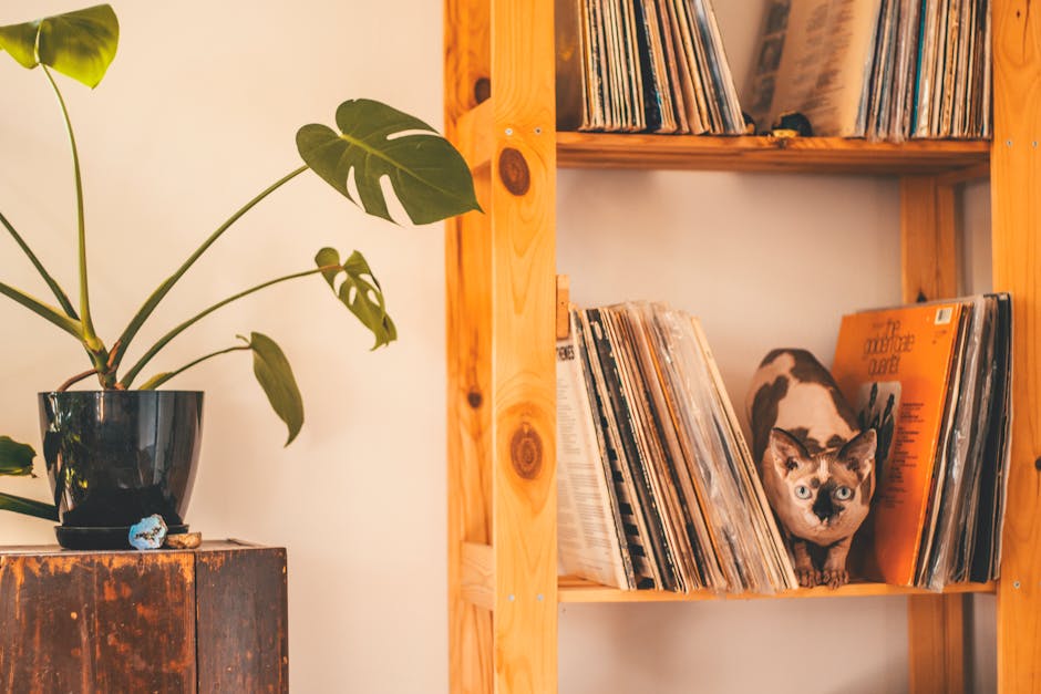 Wall-Mounted Cat Shelves