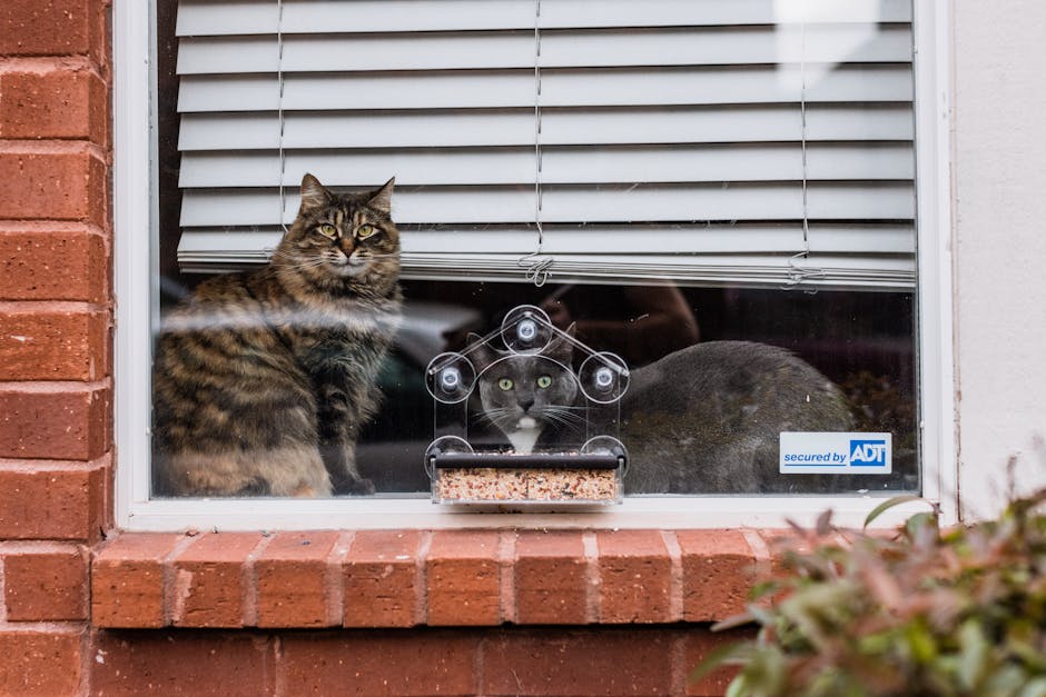 Wall-Mounted Pet Feeding Station