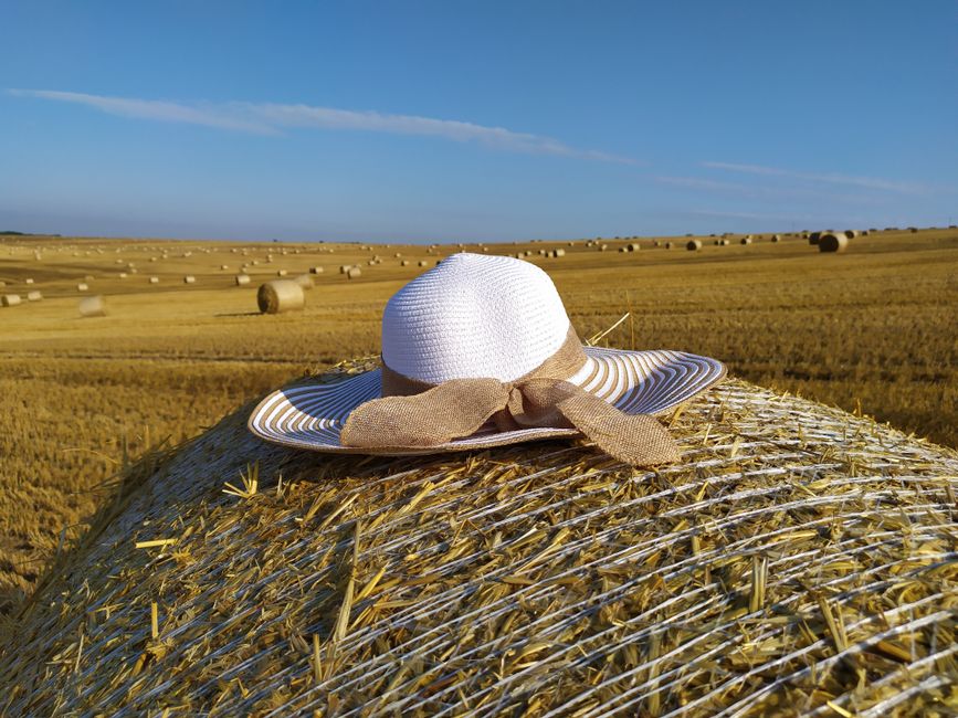 Wide-Brim Straw Hat
